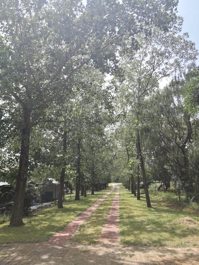 מידרנד Weeping Willow מראה חיצוני תמונה